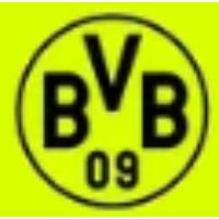 Bvb Rabattcodes und Gutscheine 2025